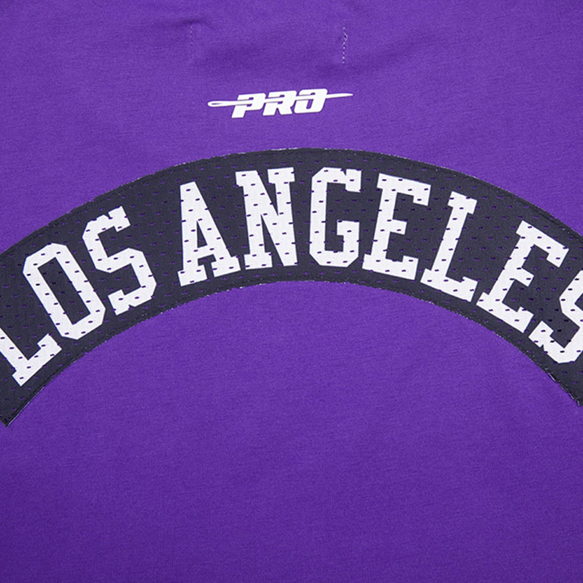 Los Angeles Lakers Pro Standard Made To Play Drop Shoulder T-Shirt Purple