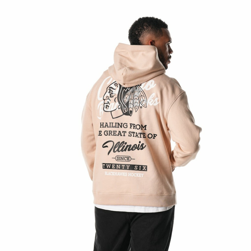 Chicago Blackhawks The Wild Collective Unisex Pullover Hoodie - Cream - NHL 201271298