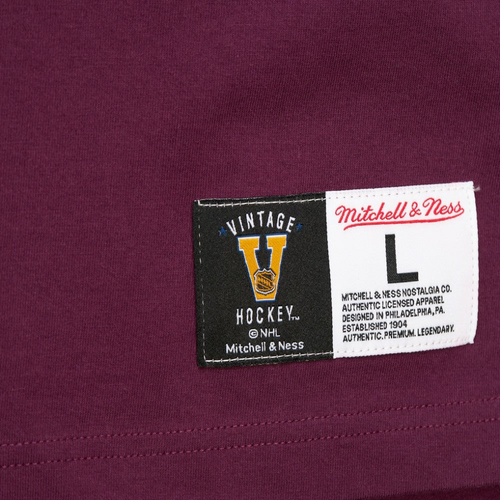 Teemu Selanne Anaheim Ducks Mitchell & Ness Premium Nickname Vintage Logo T-Shirt - Purple - NHL 201297205