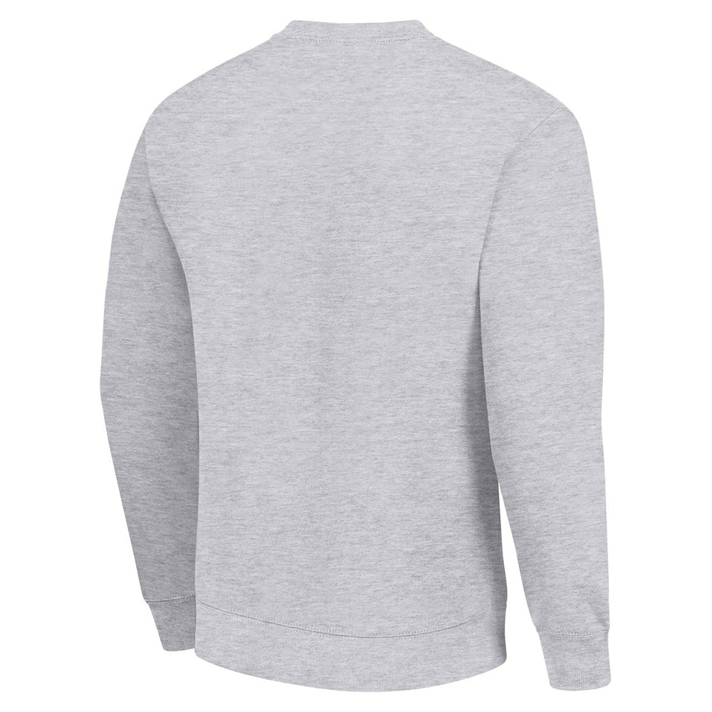 Carolina Panthers Starter Team Logo Pullover Sweatshirt Heather Gray