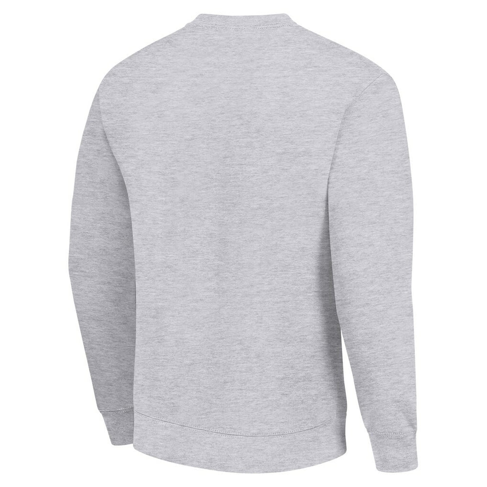 Minnesota Vikings Starter Team Mesh Print Graphic Pullover Sweatshirt Heather Gray
