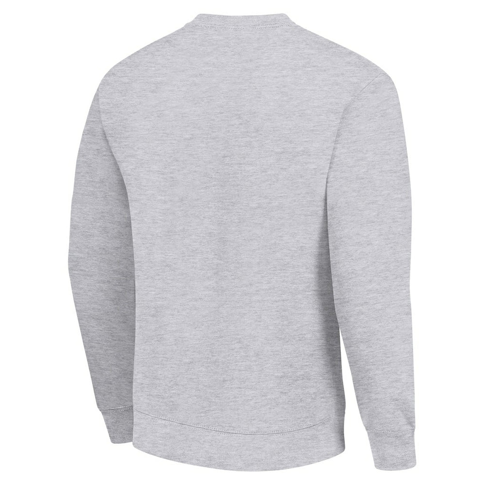 Philadelphia Eagles Starter Team Mesh Print Graphic Pullover Sweatshirt Heather Gray
