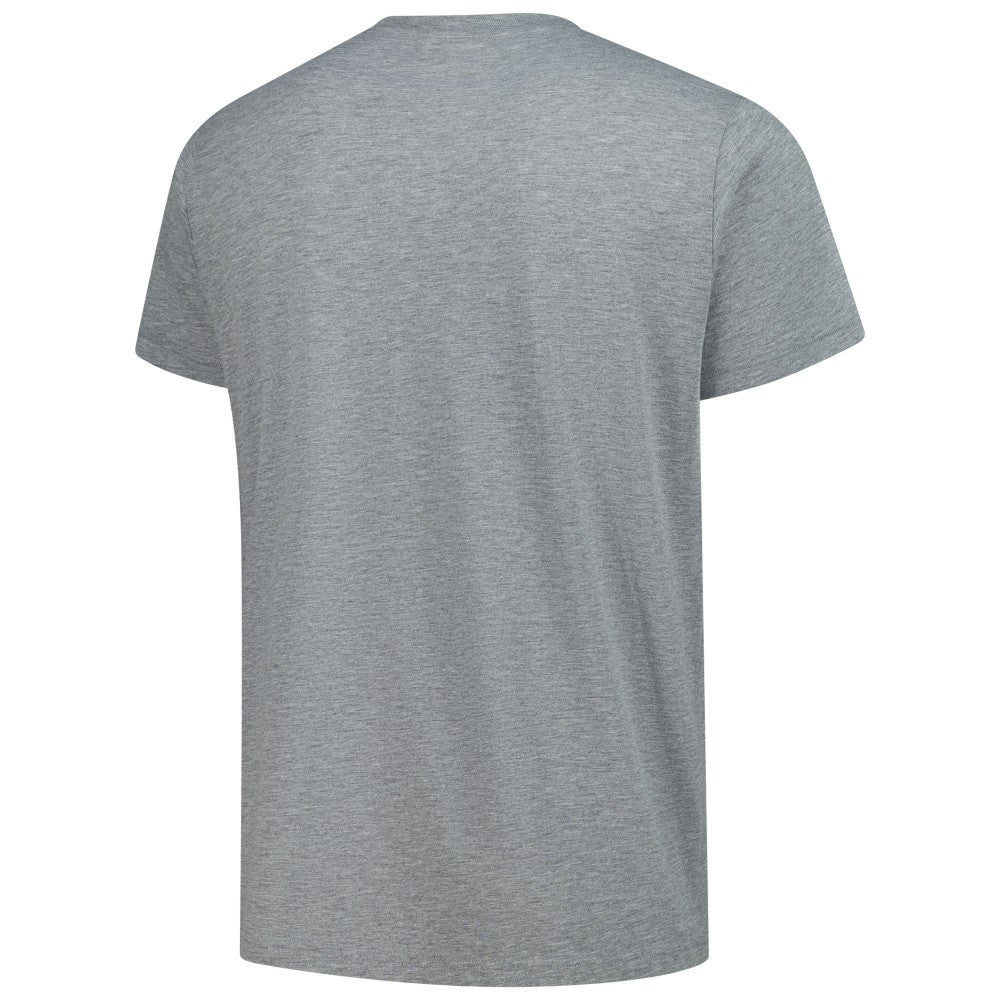Cincinnati Reds Homage Grateful Dead Tri-Blend T-Shirt - Gray - MLB Lifestyle