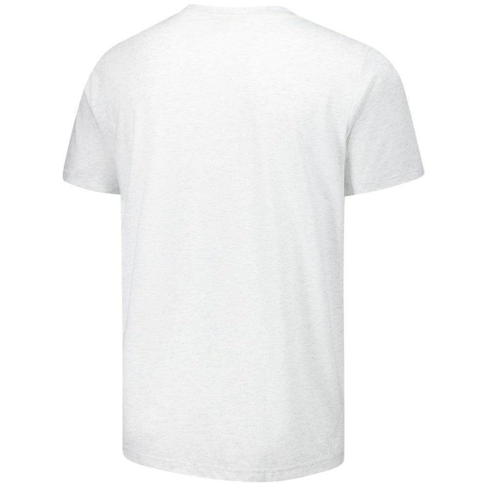 Boston Red Sox Homage Grateful Dead Tri-Blend T-Shirt - Ash - MLB Sale