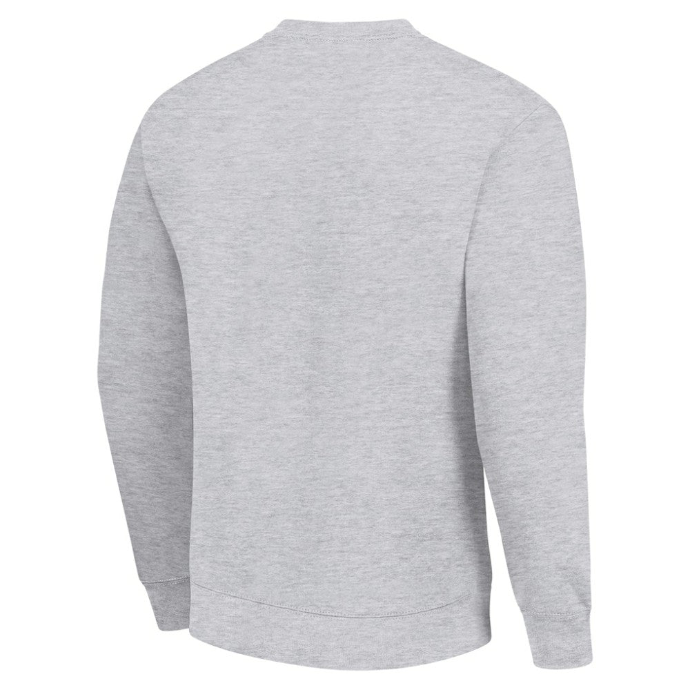 Florida Panthers Starter Player Grid Fleece Pullover Sweatshirt - Heather Gray - NHL 201424792