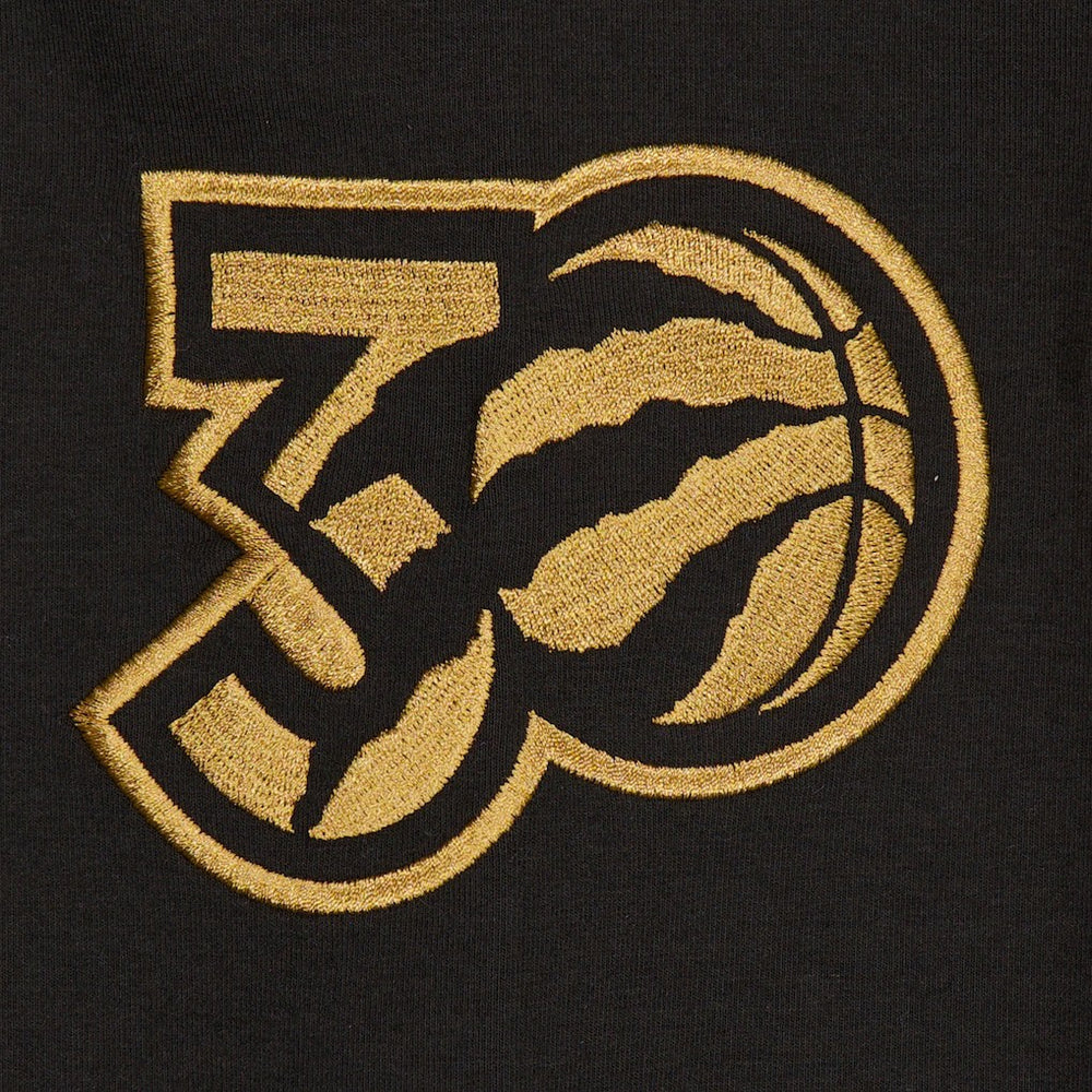 Toronto Raptors 2024/25 City Edition Chenille Heavyweight Pullover Hoodie Black | New Era online