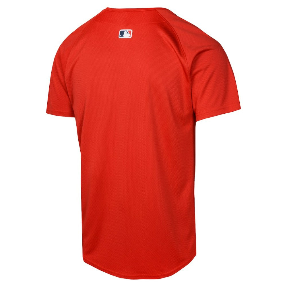 Boston Red Sox Nike Youth Alternate Limited Jersey - Red - Nike Sale
