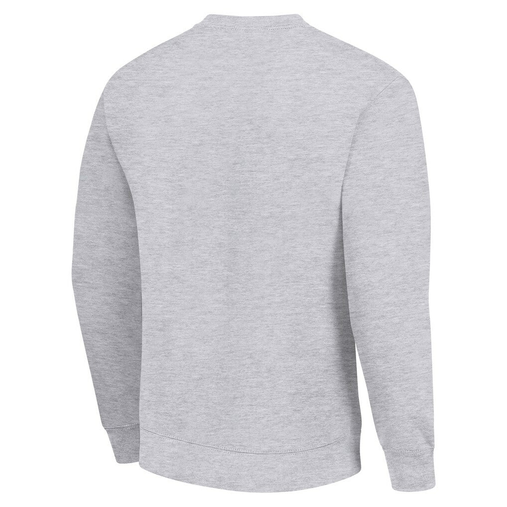 Green Bay Packers Starter Color Scratch Team Graphic Fleece Pullover Sweatshirt Heather Gray
