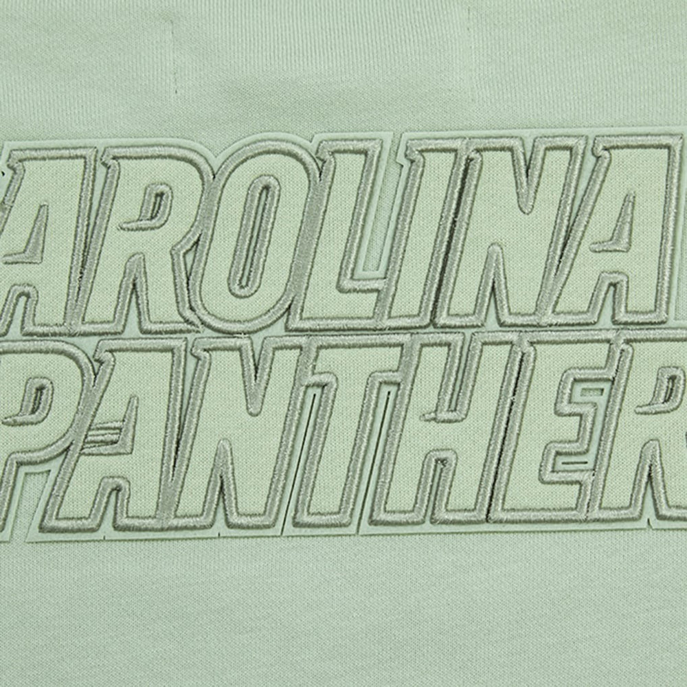 Carolina Panthers Pro Standard Women's Oversized Cropped Neutral Pullover Sweatshirt Light Green