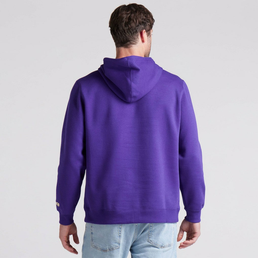 Fanatics Minnesota Vikings Pylon Cam Legacy Pullover Hoodie Purple
