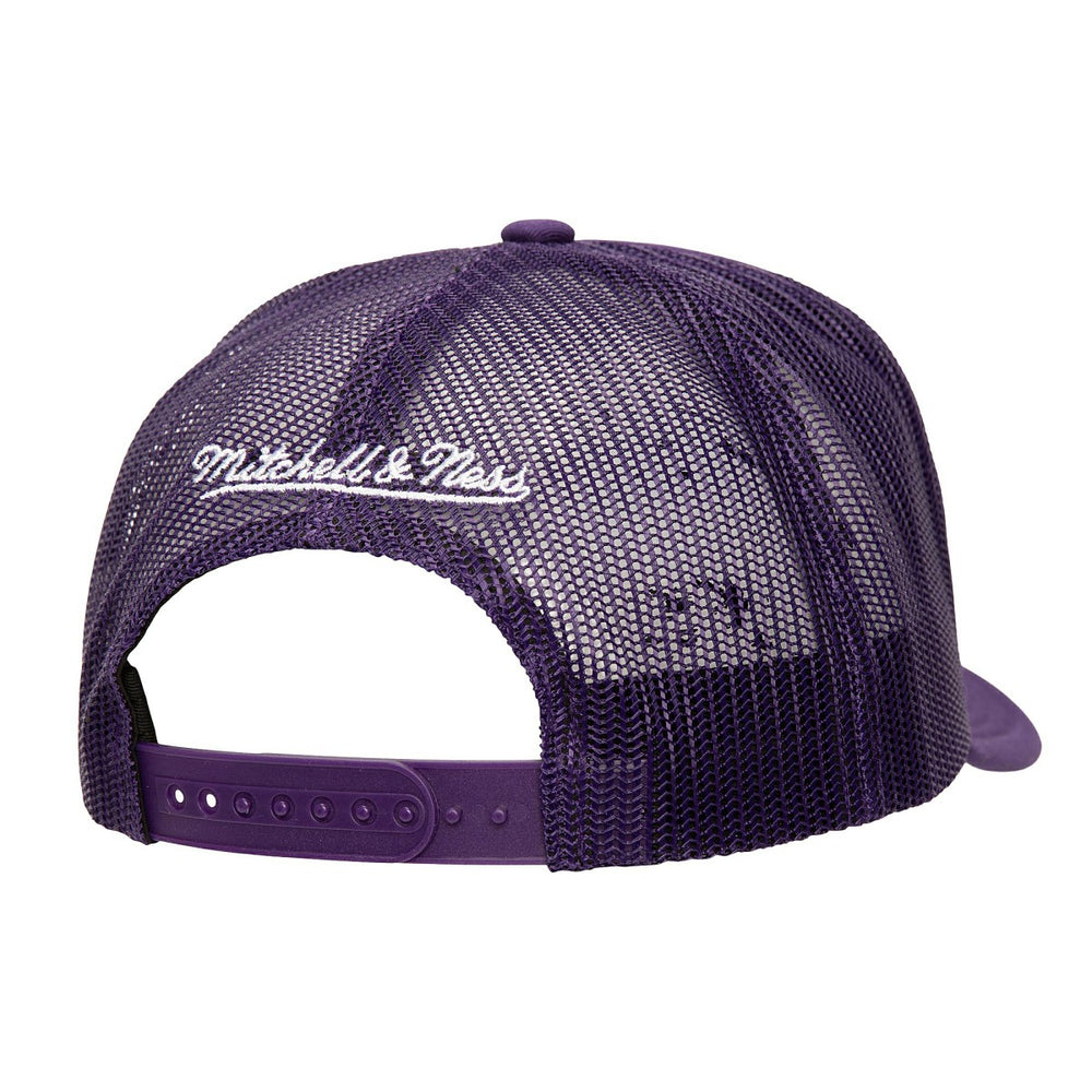 Phoenix Suns Core Evergreen OTC Trucker Adjustable Hat Purple | Mitchell & Ness for sale