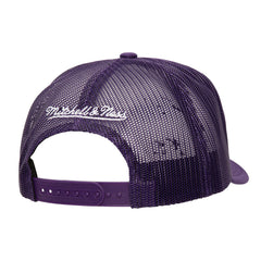 Phoenix Suns Core Evergreen OTC Trucker Adjustable Hat Purple | Mitchell & Ness for sale
