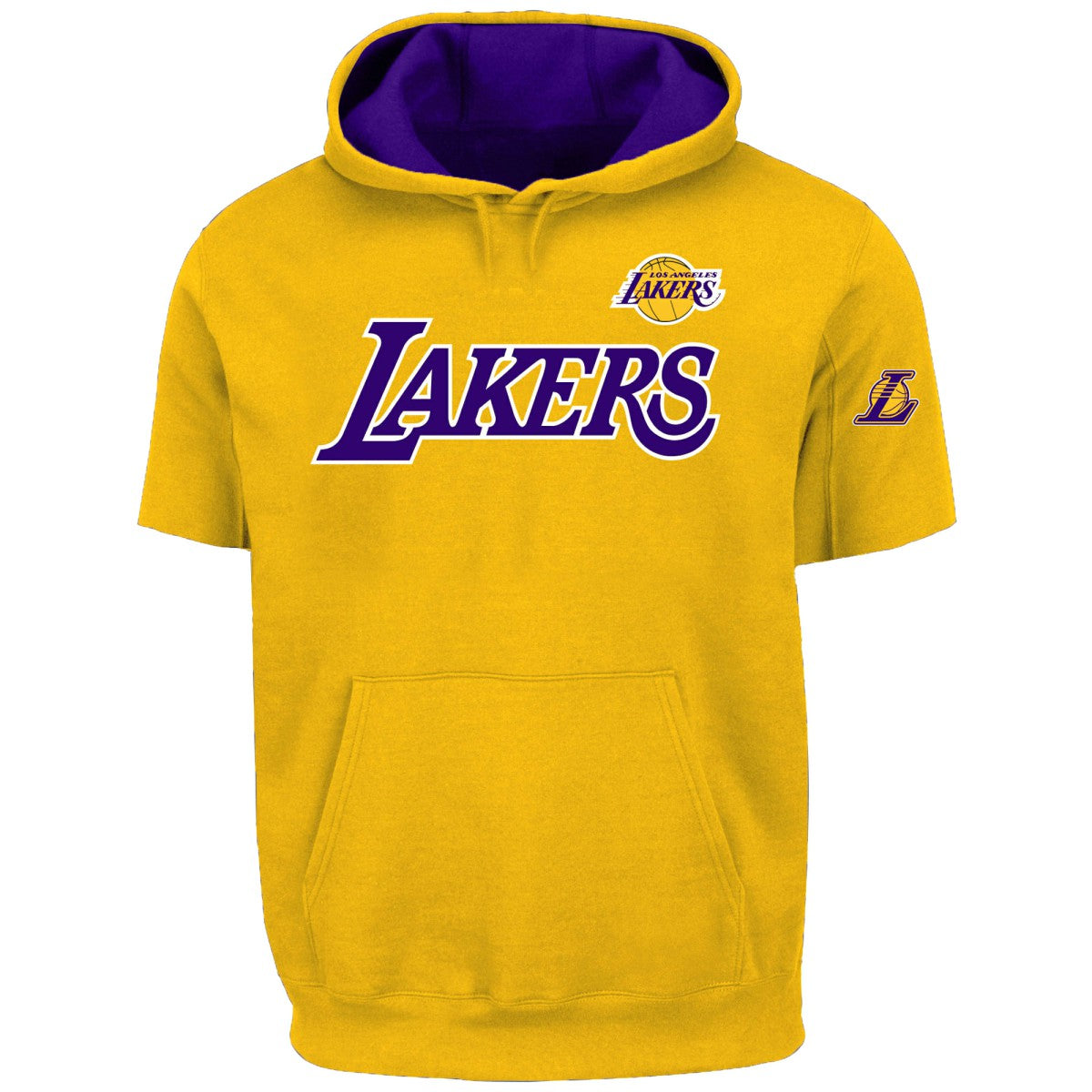 LeBron James Los Angeles Lakers Big & Tall Short Sleeve Hoodie Gold | Fanatics