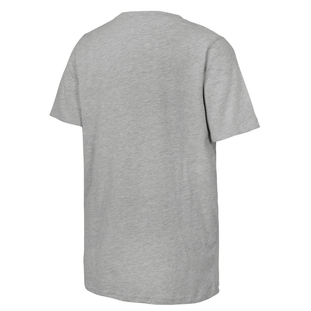 Boston Celtics Stadium Essentials Unisex 2024 NBA Finals Revolution T-Shirt Heather Gray
