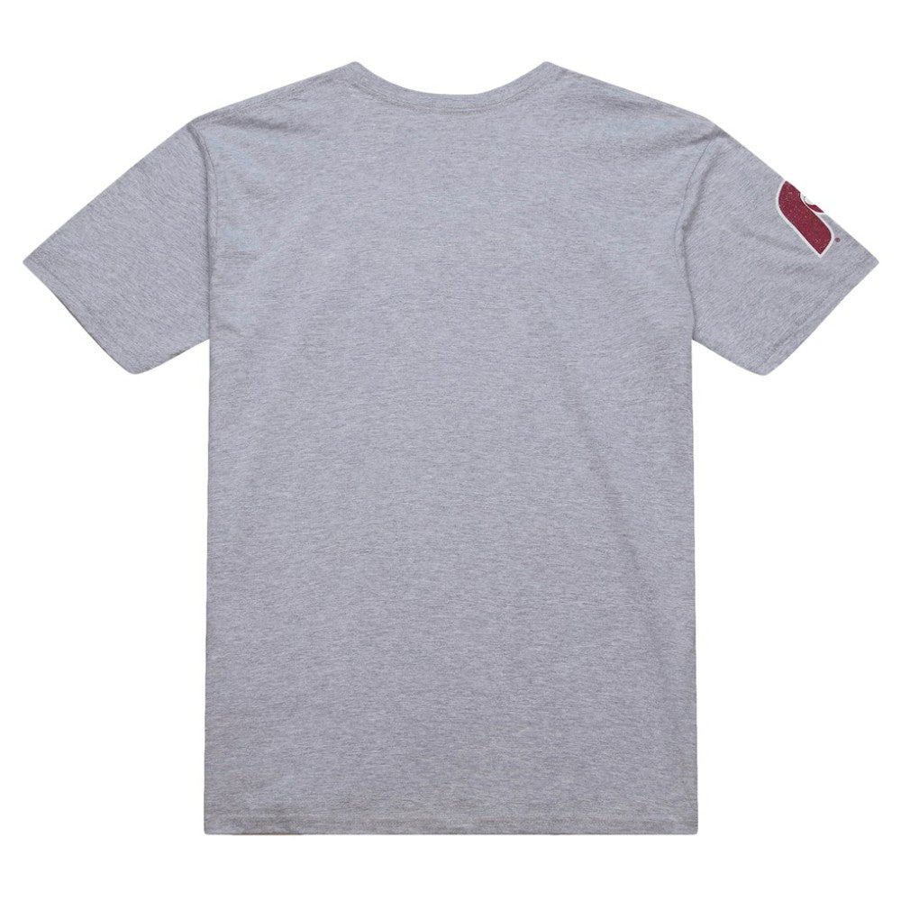 Darren Daulton Philadelphia Phillies Mitchell & Ness Cooperstown Collection Player T-Shirt - Heather Gray - Mitchell & Ness Lifestyle