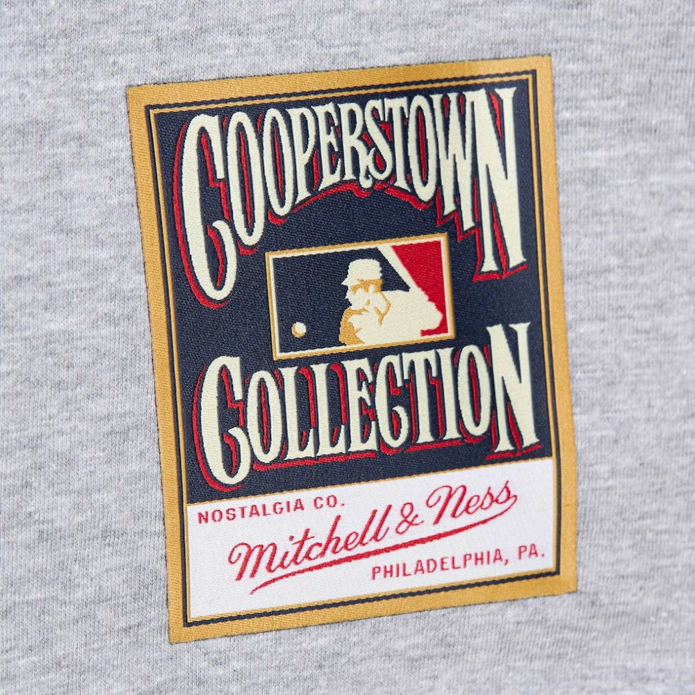 Darren Daulton Philadelphia Phillies Mitchell & Ness Cooperstown Collection Player T-Shirt - Heather Gray - Mitchell & Ness Lifestyle
