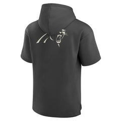 Fanatics Carolina Panthers Elements Future Ground Lettering Short Sleeve Pullover Hoodie Charcoal