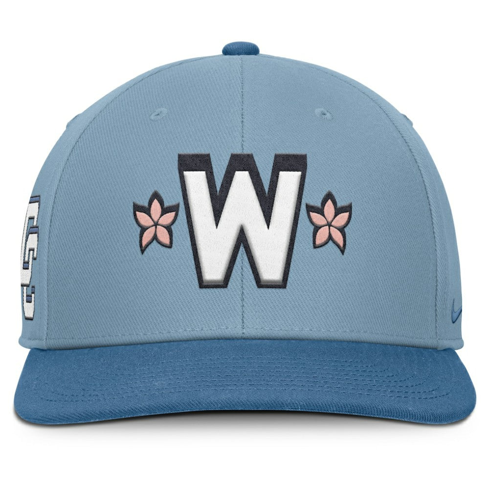 Washington Nationals Nike 2025 City Connect Pro Performance Snapback Hat - Light Blue/Blue - Nike Lifestyle