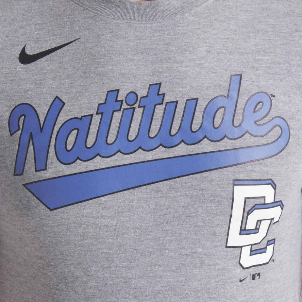 Washington Nationals Nike City Connect Script Tri-Blend T-Shirt - Heather Charcoal - Nike Sale
