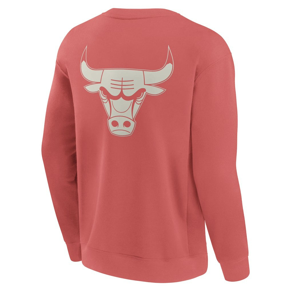 Chicago Bulls Elements Future Ground Lettering Pullover Sweatshirt Red | Fanatics