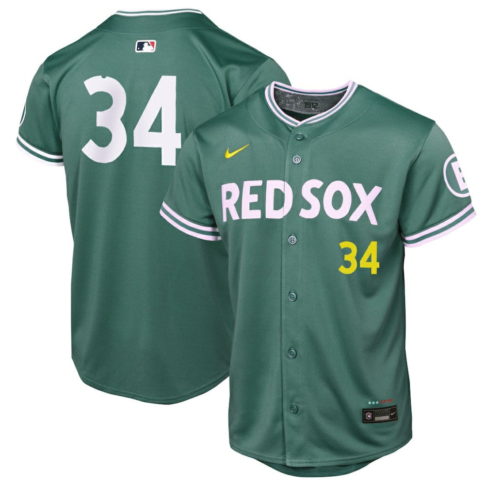 David Ortiz Boston Red Sox Nike Youth 2025 City Connect Limited Retired Player Jersey - Green - Nike Online
