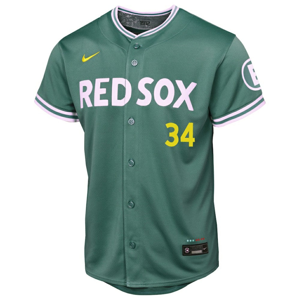 David Ortiz Boston Red Sox Nike Youth 2025 City Connect Limited Retired Player Jersey - Green - Nike Online