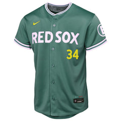 David Ortiz Boston Red Sox Nike Youth 2025 City Connect Limited Retired Player Jersey - Green - Nike Online