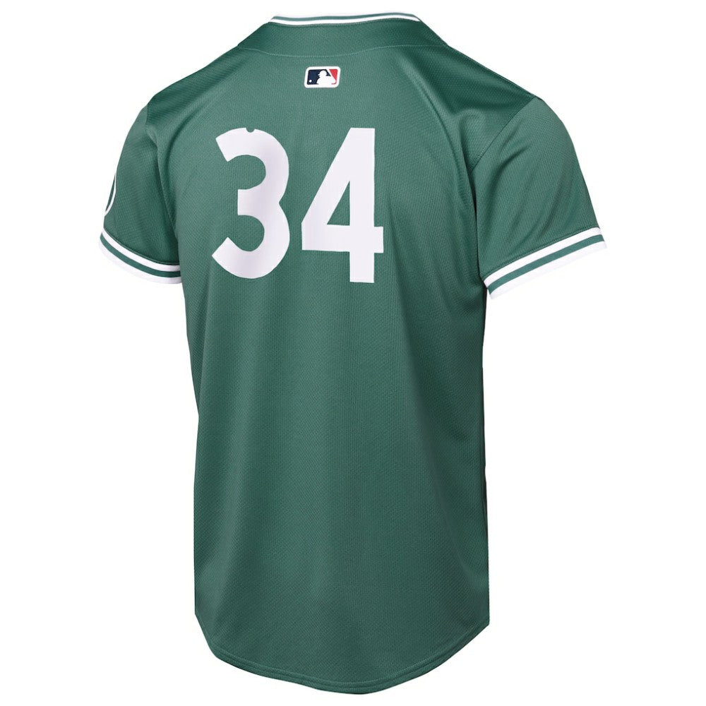 David Ortiz Boston Red Sox Nike Youth 2025 City Connect Limited Retired Player Jersey - Green - Nike Online