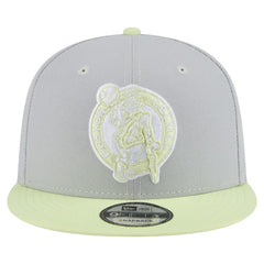 Boston Celtics Color Pack Two-Tone 9FIFTY Snapback Hat Gray/Light Green | New Era