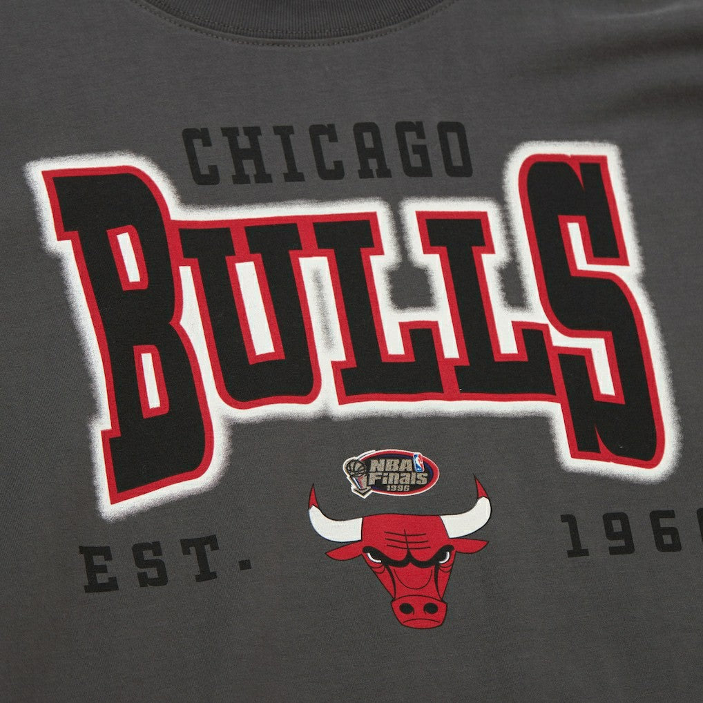 Chicago Bulls Women's Hardwood Classics Oversized Boyfriend T-Shirt for sale Charcoal | Mitchell & Ness