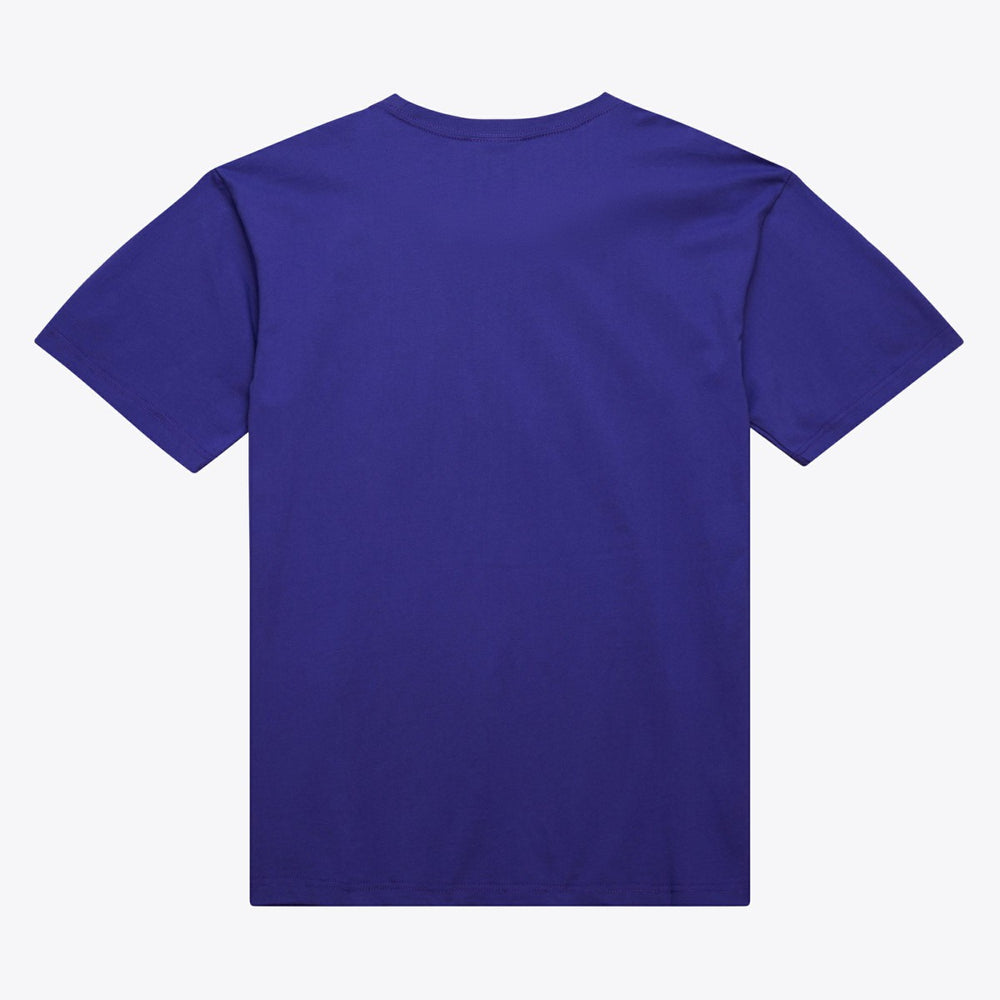 Milwaukee Bucks Hardwood Classics Neon Nights Premium T-Shirt Purple | Mitchell & Ness