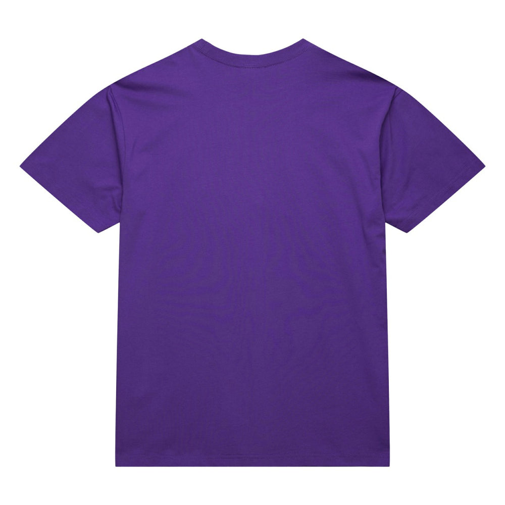 Toronto Raptors Hardwood Classics Neon Nights Premium T-Shirt Raptors Purple | Mitchell & Ness for sale