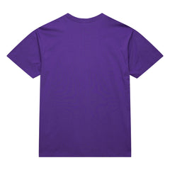 Toronto Raptors Hardwood Classics Neon Nights Premium T-Shirt Raptors Purple | Mitchell & Ness for sale