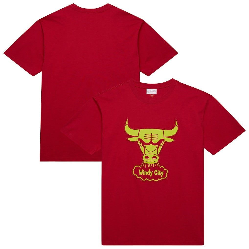 Chicago Bulls Hardwood Classics Neon Nights Premium T-Shirt for sale Red | Mitchell & Ness outlet