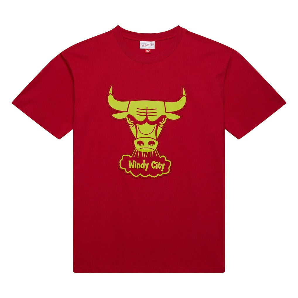 Chicago Bulls Hardwood Classics Neon Nights Premium T-Shirt for sale Red | Mitchell & Ness outlet
