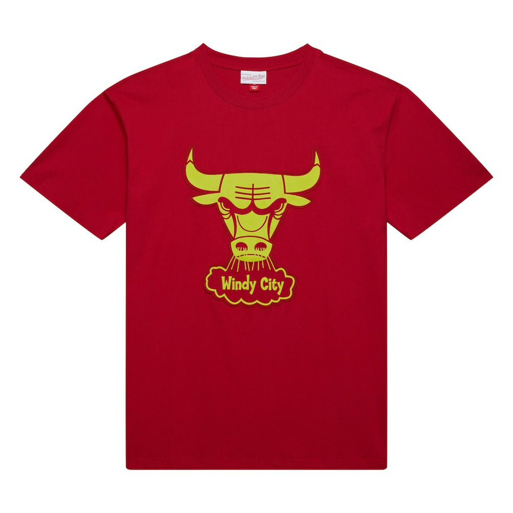 Chicago Bulls Hardwood Classics Neon Nights Premium T-Shirt for sale Red | Mitchell & Ness outlet