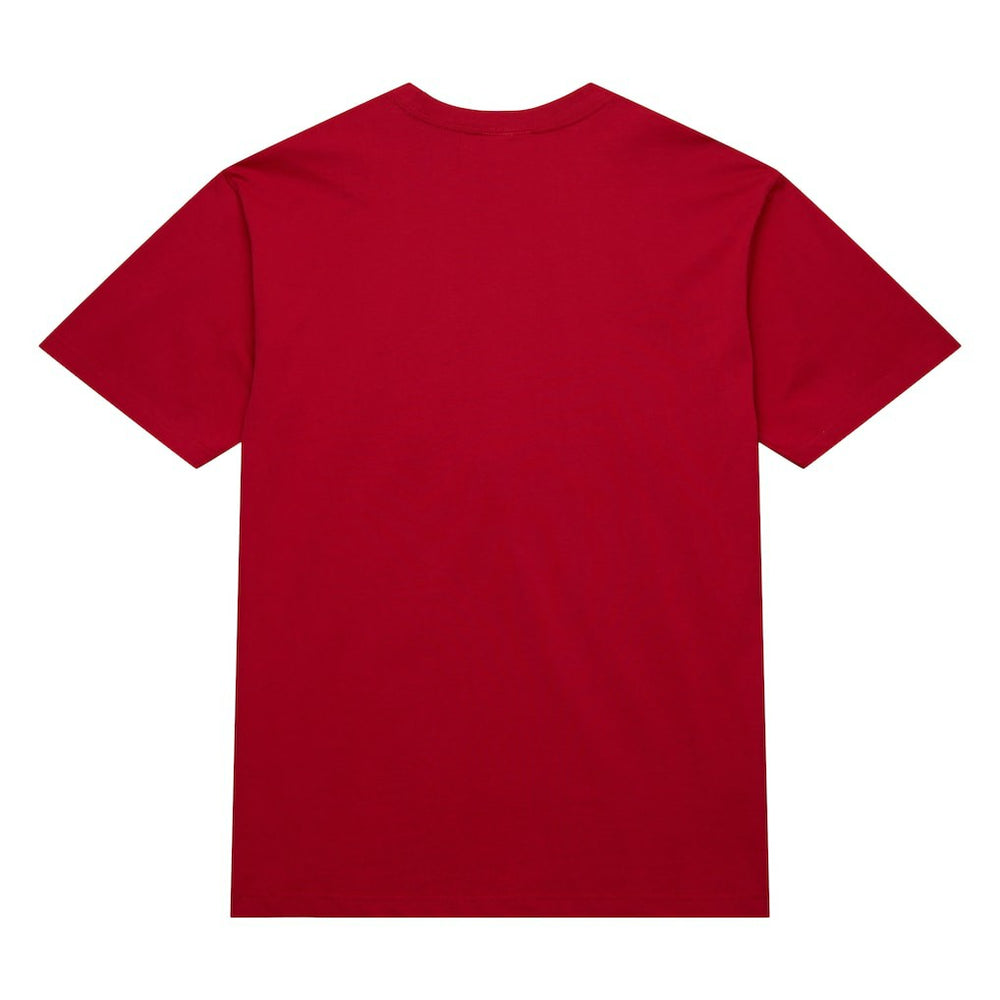 Chicago Bulls Hardwood Classics Neon Nights Premium T-Shirt for sale Red | Mitchell & Ness outlet