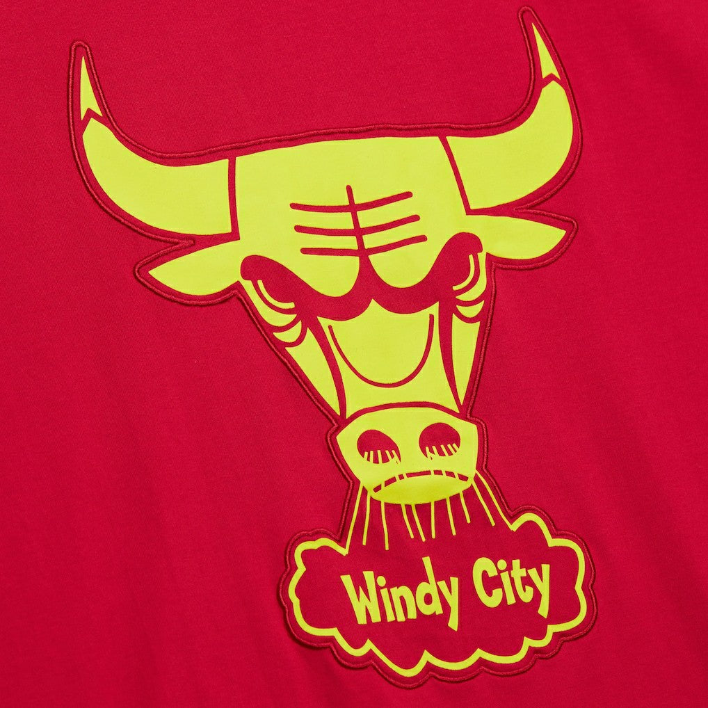 Chicago Bulls Hardwood Classics Neon Nights Premium T-Shirt for sale Red | Mitchell & Ness outlet