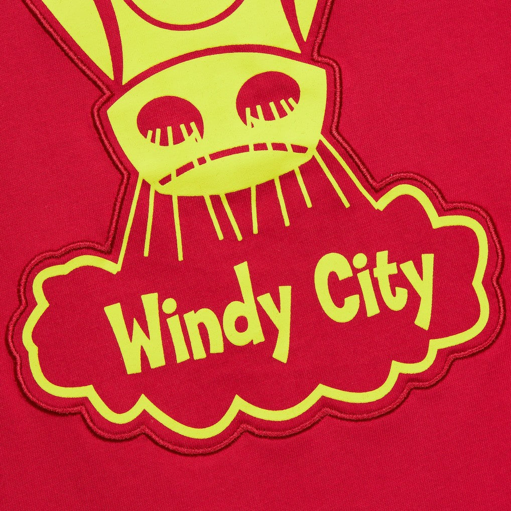 Chicago Bulls Hardwood Classics Neon Nights Premium T-Shirt for sale Red | Mitchell & Ness outlet