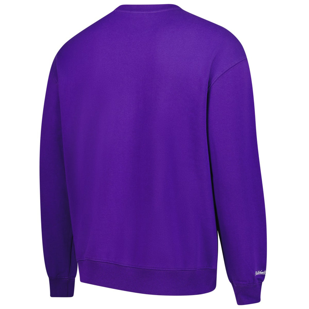 Toronto Raptors Nights Pullover Sweatshirt Purple | Mitchell & Ness online