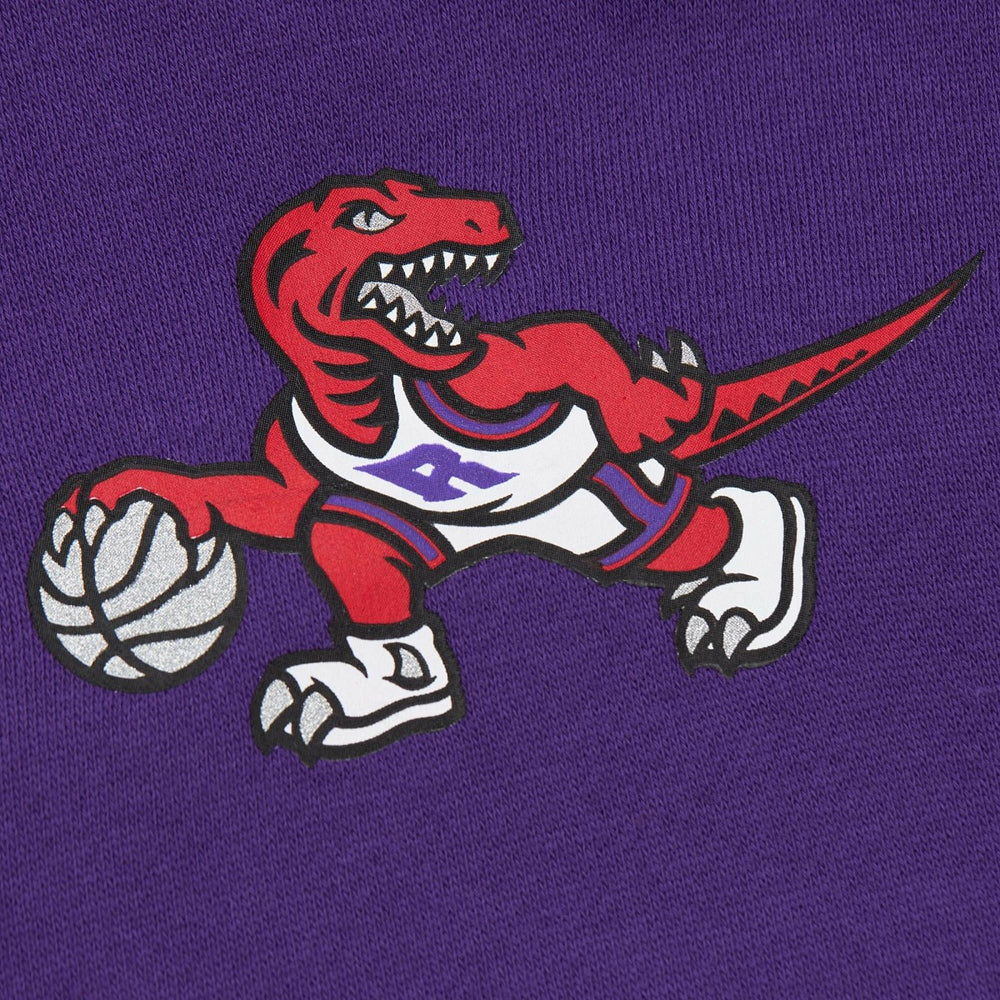 Toronto Raptors Hardwood Classics There & Back 2.0 Vintage Pullover Sweatshirt Purple | Mitchell & Ness outlet