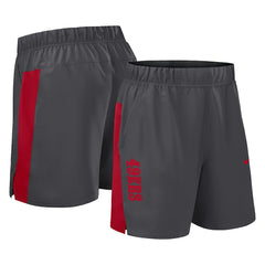 Nike San Francisco 49ers Woven Victory Dri-FIT Shorts Gray