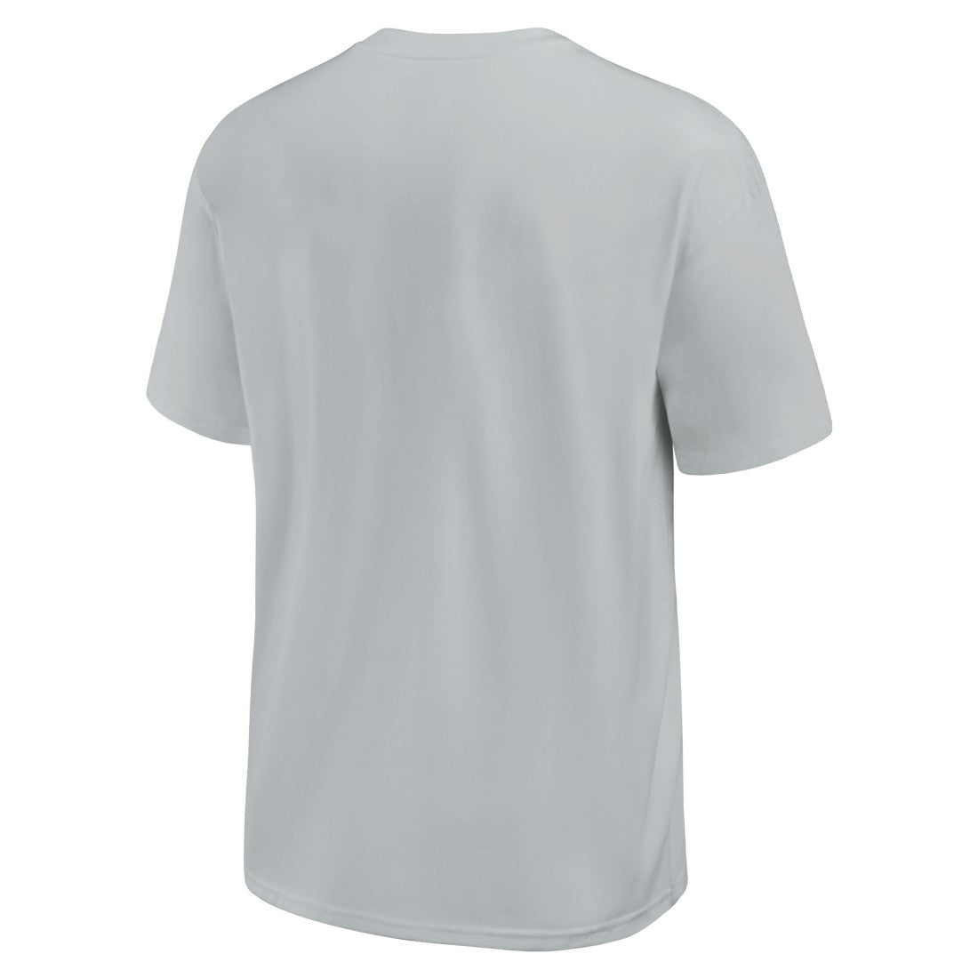 Nike Detroit Lions Glory Max90 T-Shirt Gray