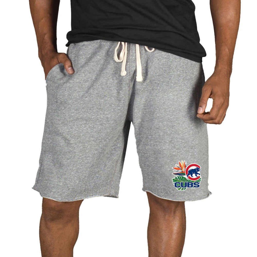 Chicago Cubs Concepts Sport Mainstream Tri-Blend Shorts - Gray - MLB Discount
