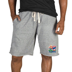 Chicago Cubs Concepts Sport Mainstream Tri-Blend Shorts - Gray - MLB Discount