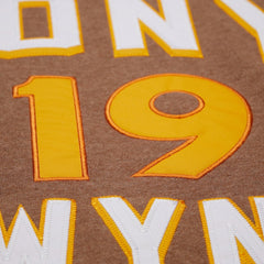 Tony Gwynn San Diego Padres Mitchell & Ness Legends Collection Vintage Logo Name & Number Fleece Pullover Sweatshirt - Brown - Mitchell & Ness Lifestyle