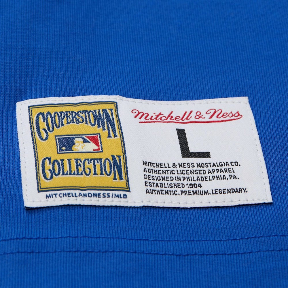 Hank Aaron Atlanta Braves Mitchell & Ness Legends Collection Vintage Logo T-Shirt - Royal - Mitchell & Ness Discount