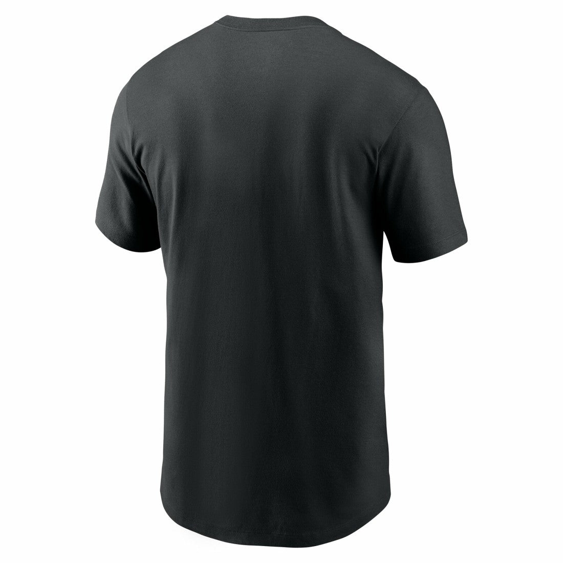 Nike Detroit Lions Primetime Wordmark Essential T-Shirt Black