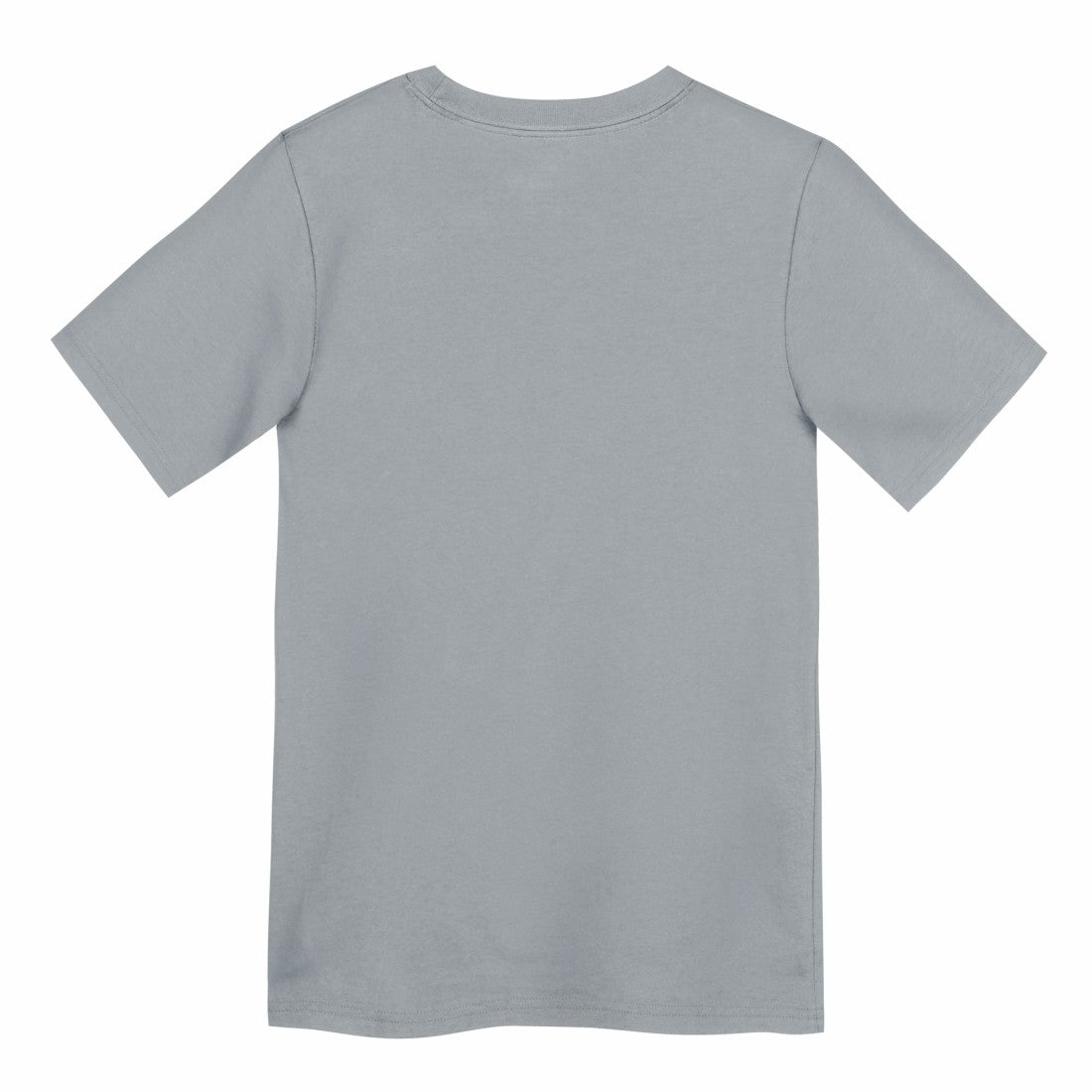 Nike Detroit Lions Preschool Icon Legend Dri-FIT T-Shirt Gray