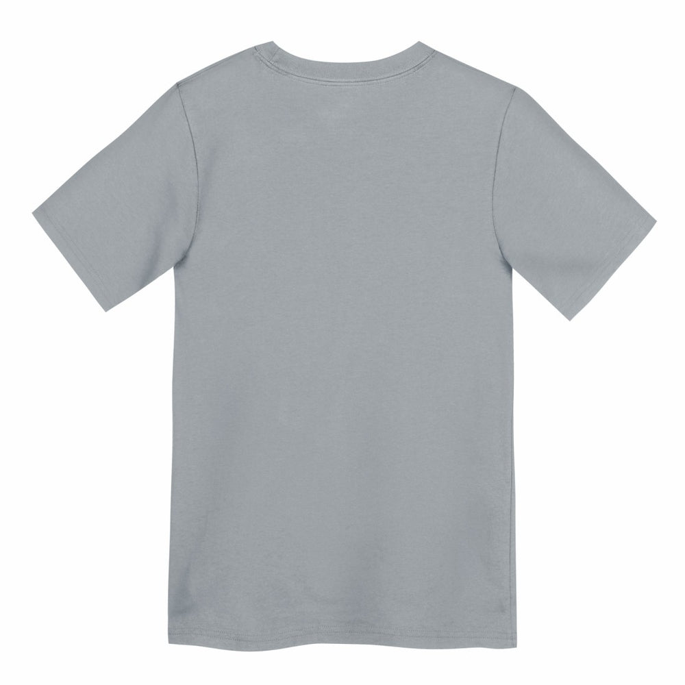 Nike Detroit Lions Preschool Icon Legend Dri-FIT T-Shirt Gray